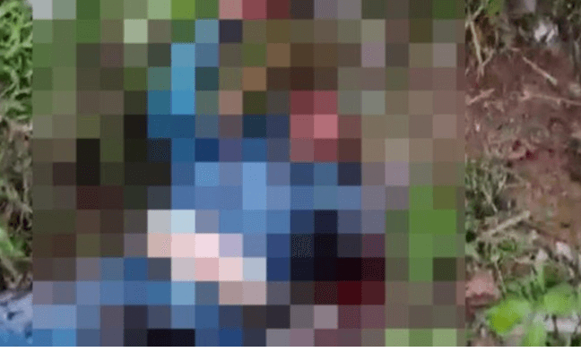 Title Image